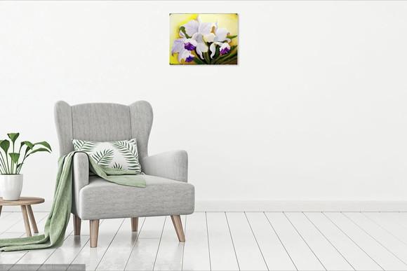 Quadros Decorativos Orquídeas Brancas Presente de Natal
