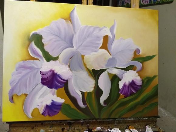 Quadros Decorativos Orquídeas Brancas Presente de Natal
