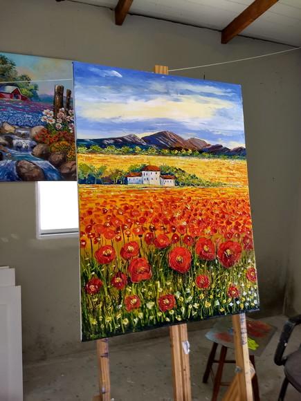 Quadros para Sala e Quarto Campo de Papoulas Black Friday