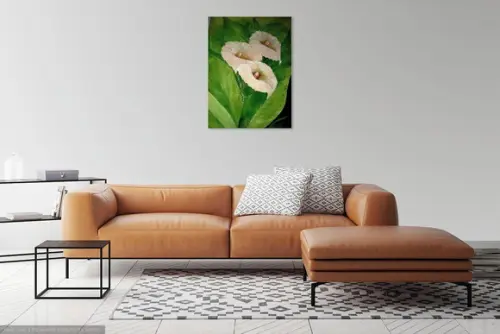 Quadros Decorativos Floral Copos de Leite Presente de Natal