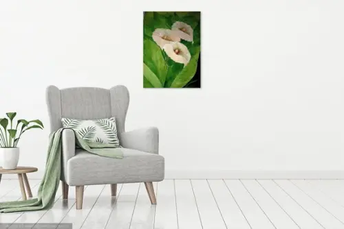 Quadros Decorativos Floral Copos de Leite Presente de Natal