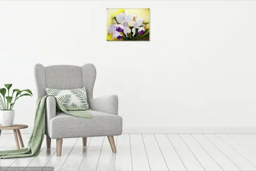 Quadros Decorativos Orquídeas Brancas Presente de Natal
