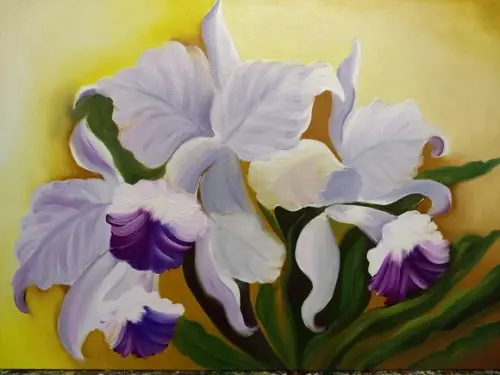 Quadros Decorativos Orquídeas Brancas Presente de Natal