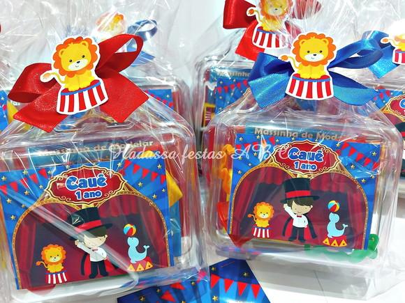 Kit Pintura com Bolinha de Sabão Tema Circo