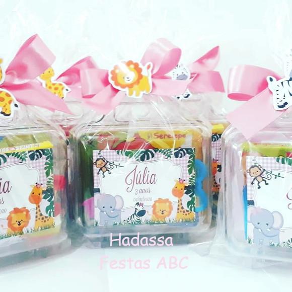 Maleta com Kit Pintura Safári Rosa