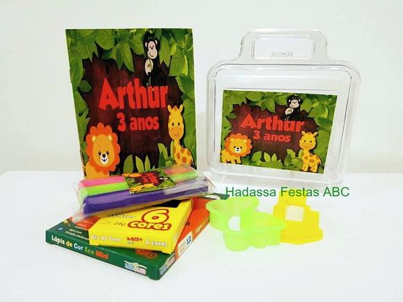 Maleta com Kit Pintura Safári