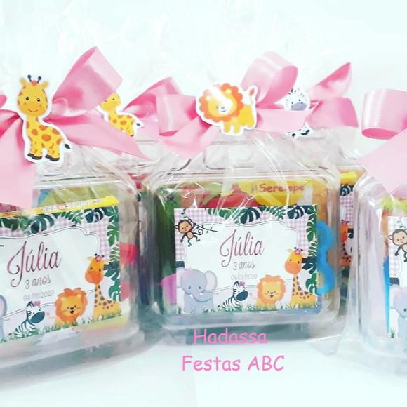 Maleta com Kit Pintura Safári Rosa