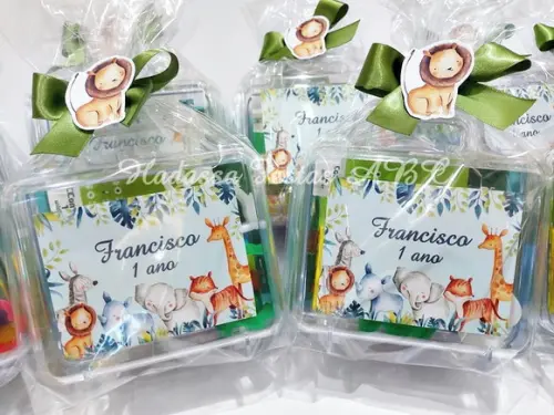 Maleta com Kit Pintura Safári