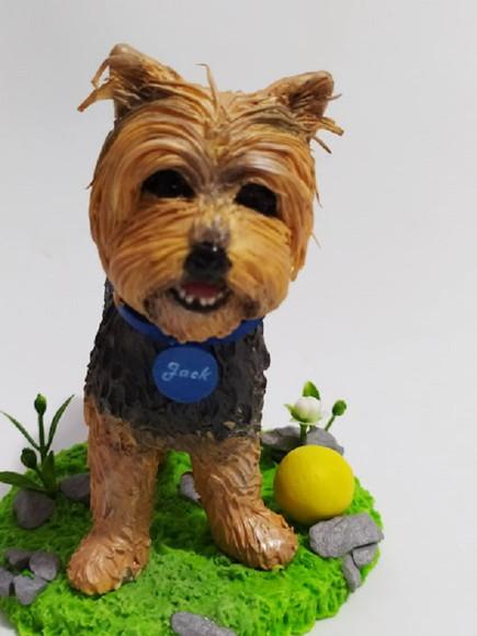Miniatura de Cachorro