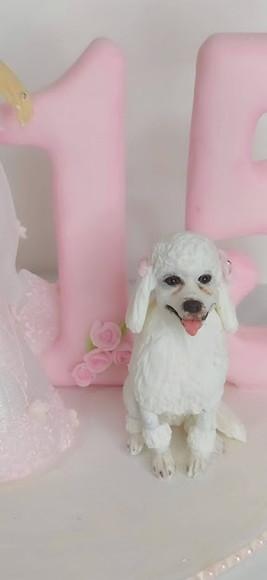 Miniatura de Cachorro
