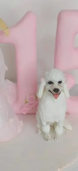 Miniatura de Cachorro