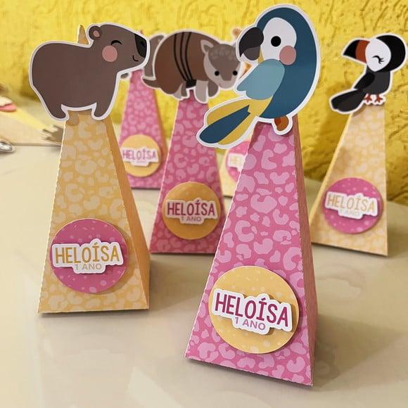 Caixa Pirâmide Aniversário Fauna Brasileira