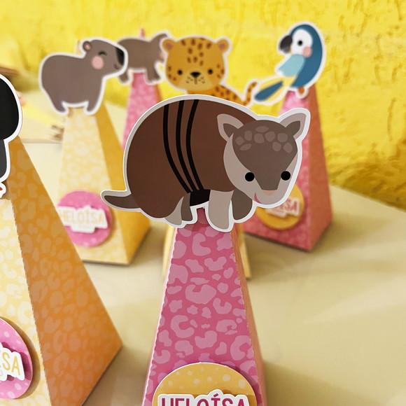 Caixa Pirâmide Aniversário Fauna Brasileira