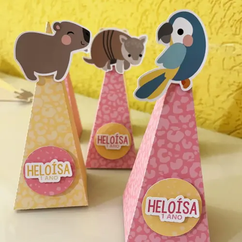 Caixa Pirâmide Aniversário Fauna Brasileira