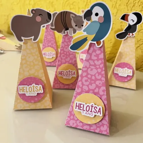 Caixa Pirâmide Aniversário Fauna Brasileira