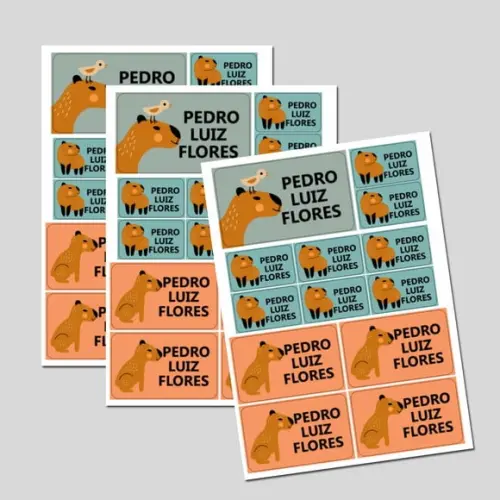Etiqueta Escolar Capivara Menino