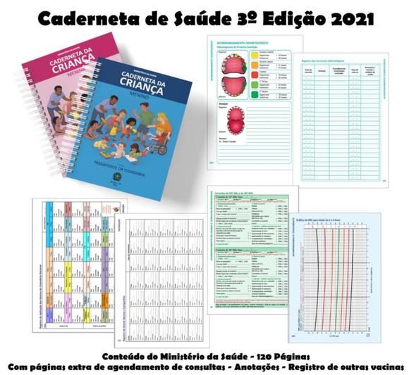 Caderneta de Saúde (vacinação) Completa Raposinha