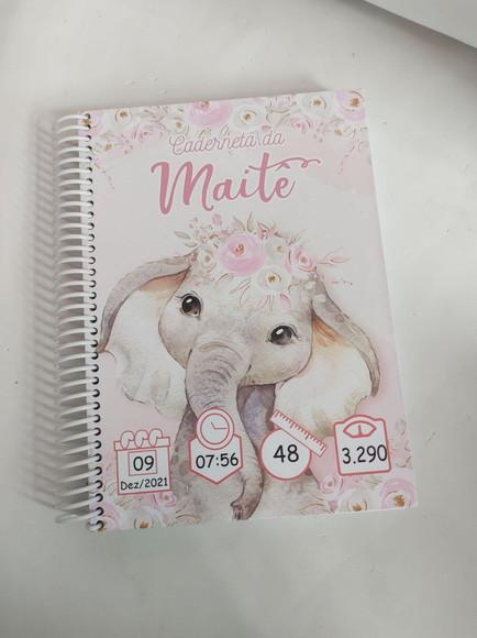 Caderneta de Saúde Personalizada