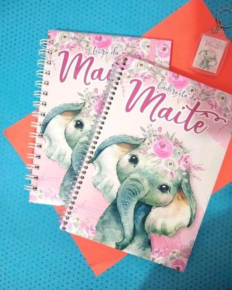 Combo Livro do Bebê e Caderneta de Saúde Básica para Menina