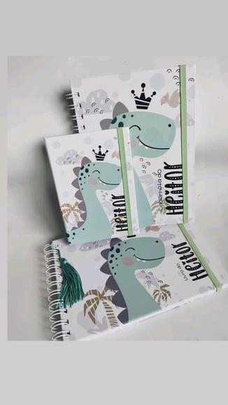 Kit Caderneta, Livro, Porta Documentos e Cartão Sus