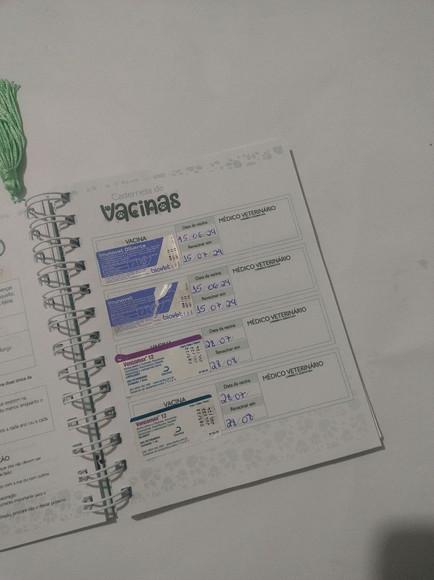 Pet Planner Personalizado