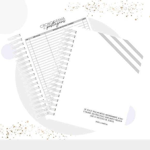 Planner do empreendedor permanente
