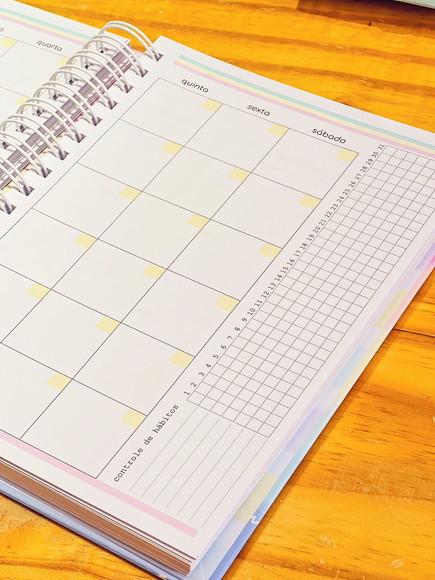 Planner Empreendeda Candy