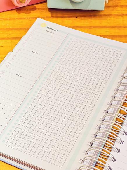 Planner Empreendeda Candy