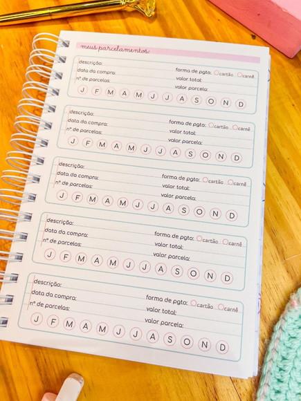 Planner financeiro Candy