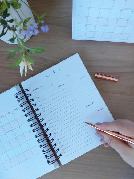 Agenda Harmonia 2026