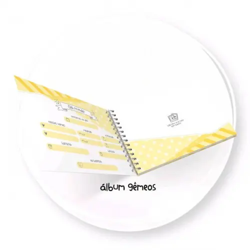 Álbum dos Gêmeos