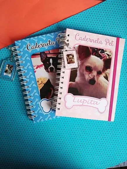 Caderneta de Vacina Pet Personalizada