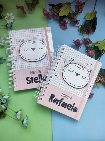 Caderno da Rotina do Bebê