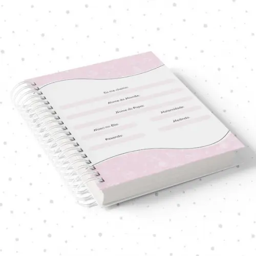 Caderno Da Rotina Do Bebê 2