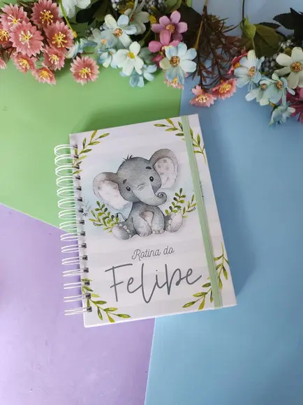 Caderno da rotina do bebê Menino