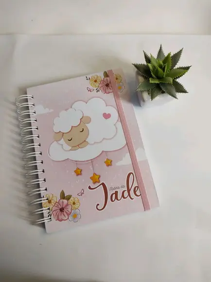 Caderno da rotina do bebê menina