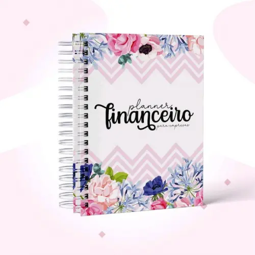 Caderno de entradas e saídas (fluxo de caixa) feminino