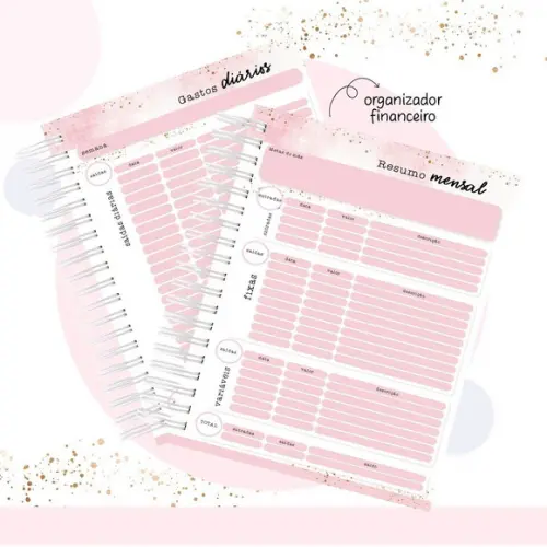 Caderno de Organização Financeiro
