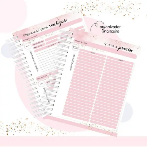 Caderno de Organização Financeiro