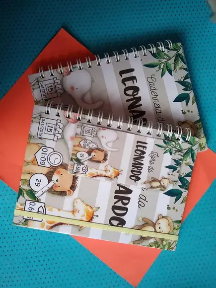 Combo Livro do Bebê e Caderneta