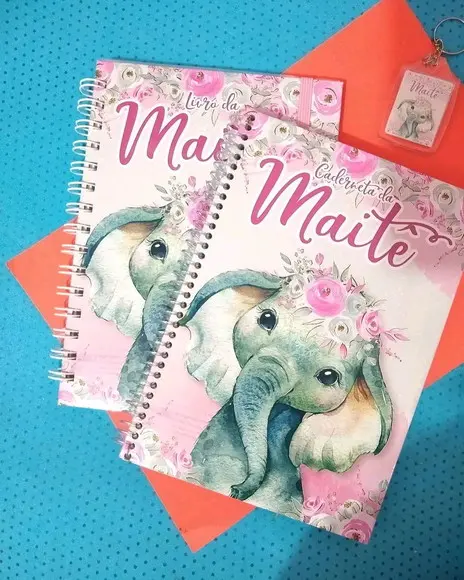 Combo Livro do Bebê e Caderneta de Saúde Básica para Menina