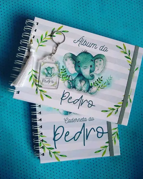 Combo Meu Álbum Primeiro do Bebê Mais Caderneta para Menino