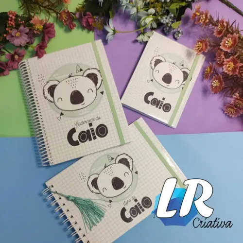 Kit Caderneta de Saúde + Livro do Bebe + Porta Documentos