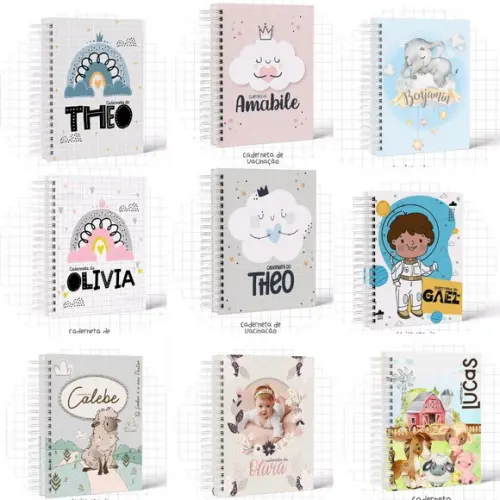 Livro do Bebê até 5 Anos