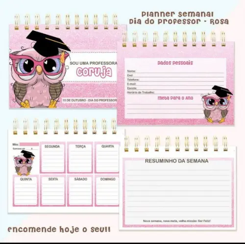 Mini Planner dia dos professores