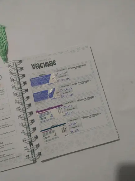 Pet Planner Personalizado