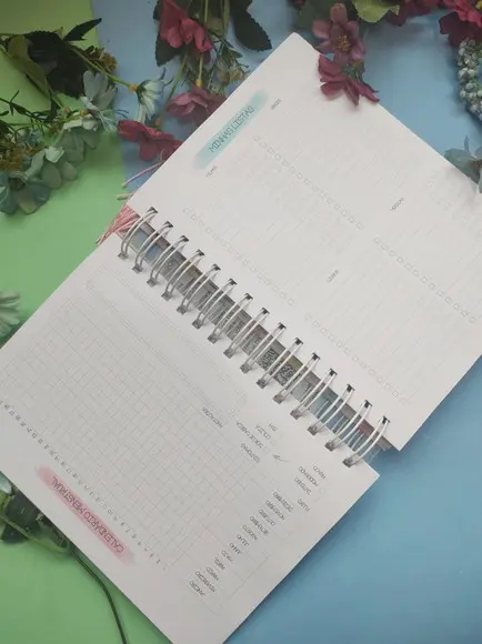 Planner Alegria Permanente