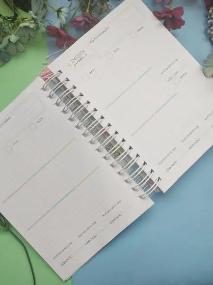 Planner Alegria Permanente