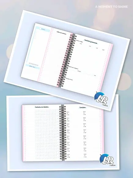 Planner Color Permanente