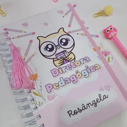 Planner da Diretora ou Diretor 2026